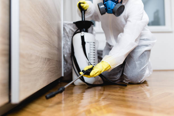 Flea Control Services in Cresson, TX