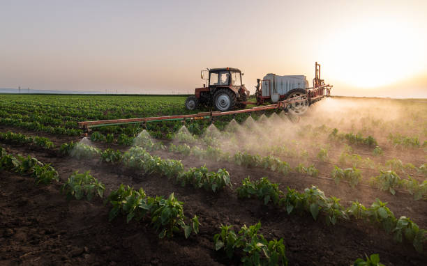Best Local Pest Control Services  in Cresson, TX