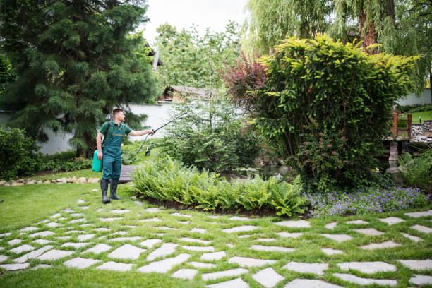 Best Pest Inspection Near Me  in Cresson, TX