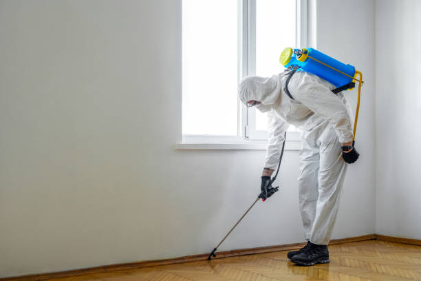 Best Pest Control for Restaurants  in Cresson, TX