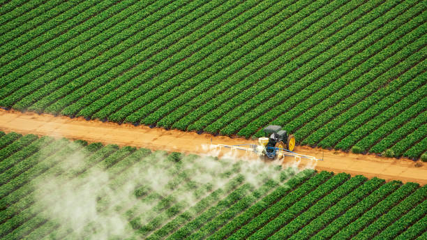 Best Pest Control Near Me  in Cresson, TX