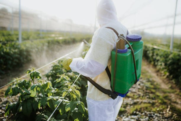 Best Affordable Pest Control Services  in Cresson, TX